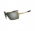 Oakley Probation Polished Gold Lente Dark Grey